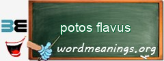 WordMeaning blackboard for potos flavus